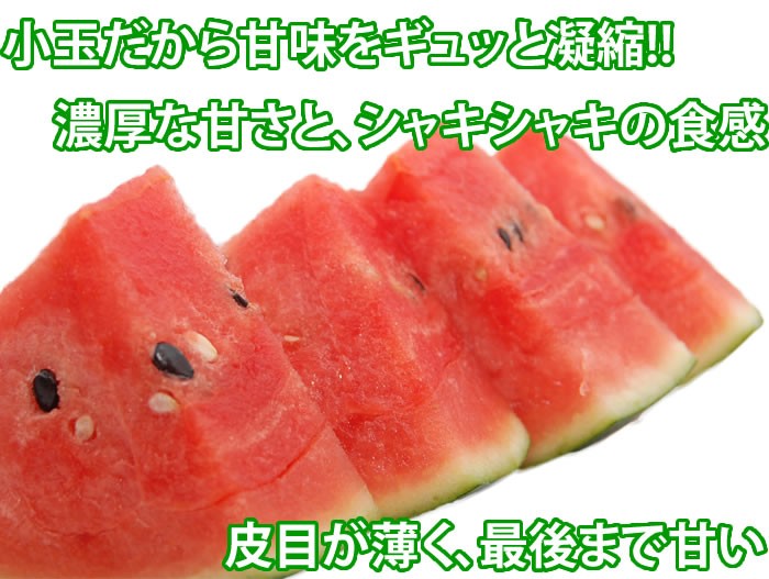 スイカ 送料無料 小玉すいか 熊本県産 ご自宅用 訳あり 計約2.3