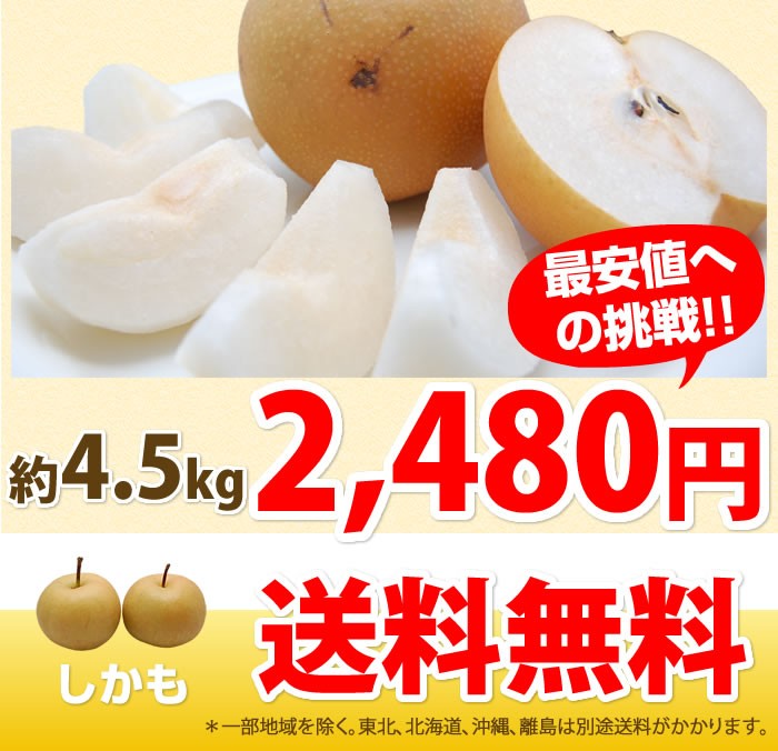 4.5kg 2480円