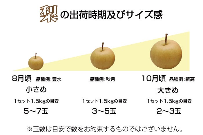 楽天市場】シャインマスカット 【2025年発送】 山梨 2房 1.2kg