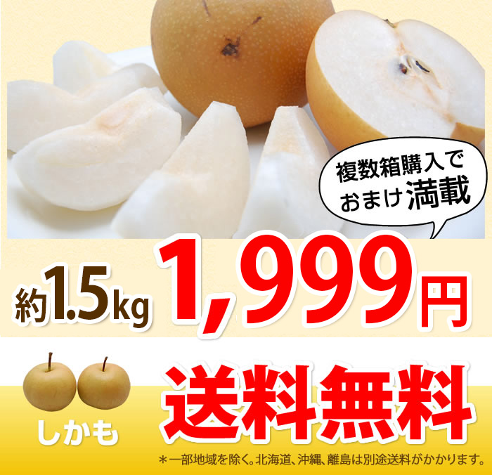楽天市場】シャインマスカット 【2025年発送】 山梨 2房 1.2kg