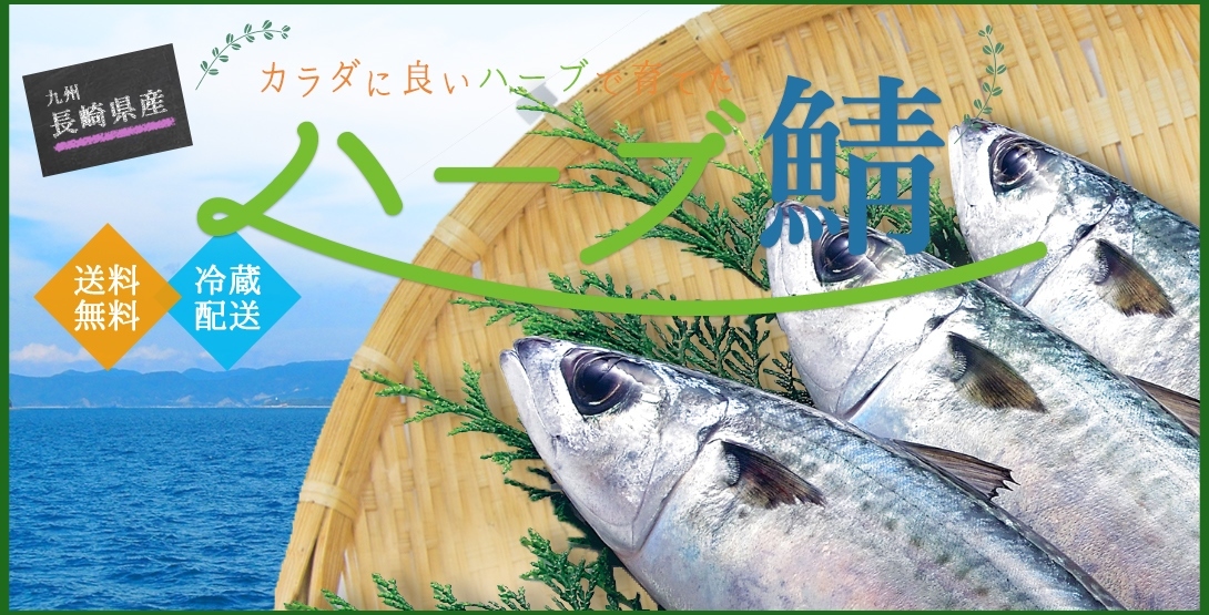 冬バーゲン☆特別送料無料！】 かぼすヒラメ 活締め 神経ぬき 活魚 九州 大分 蒲江産 1尾 1.0〜1.2kg 送料無料 鮮魚 御贈答 絶品 刺身