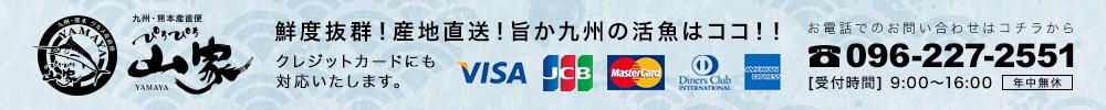 九州・熊本産直便 ぴちぴち山家