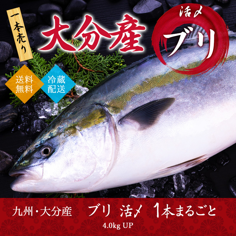 活〆 ブリ 1本 4.0kg 九州 大分産 活魚 刺身 半身 切り身 しゃぶしゃぶ 御贈答 御中元 御歳暮 送料無料 :kanburi-4kg:九州・熊本  産直便 ぴちぴち山家 - 通販 - Yahoo!ショッピング