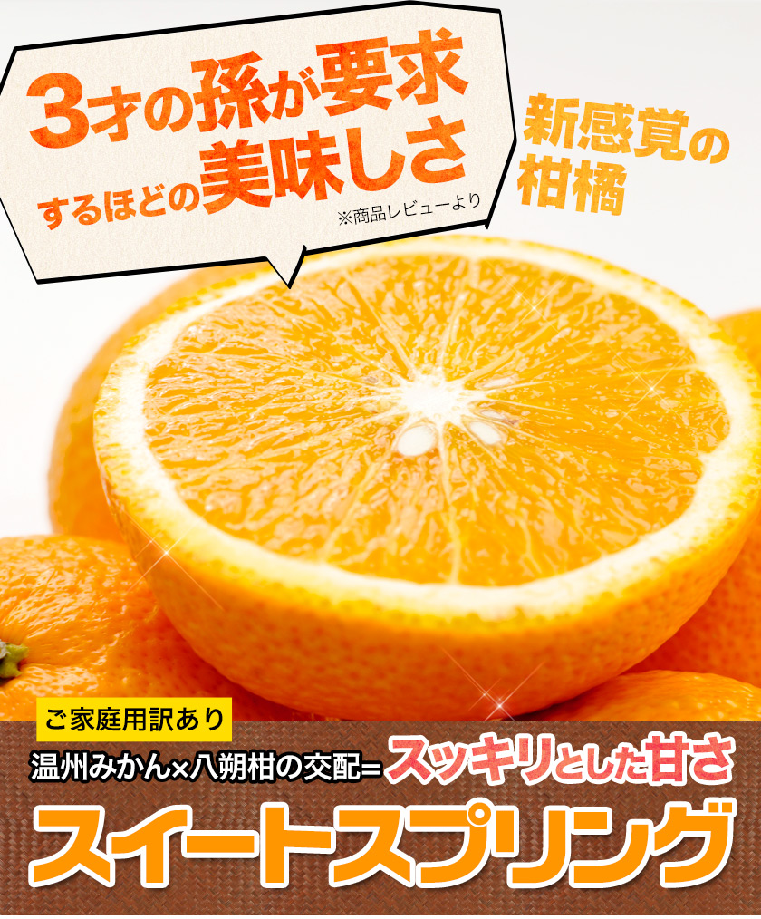 スイートスプリング 1.5kg 訳あり 熊本県産 送料無料 旬 みかん 爆買 スイートスプリング 1.5kg 訳あり 熊本県産 送料無料 旬 みかん 爆買