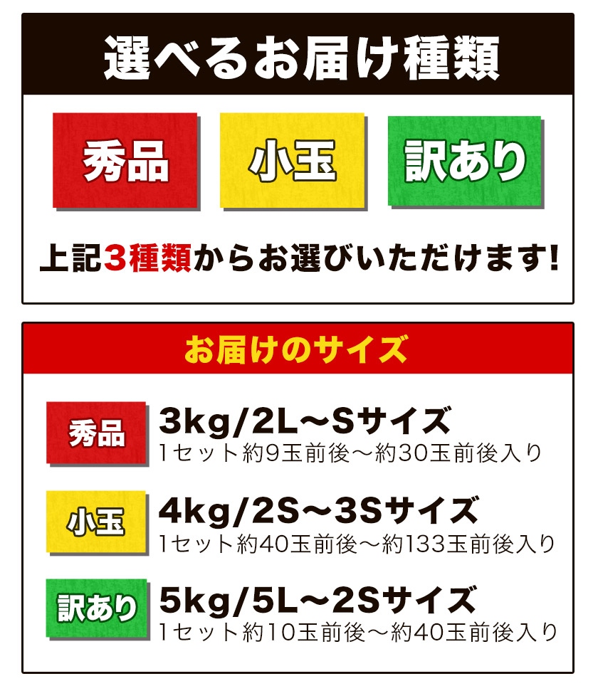 熊本県産 塩たまちゃん 玉ねぎ 選べる お届けサイズ 子出藤さん 送料