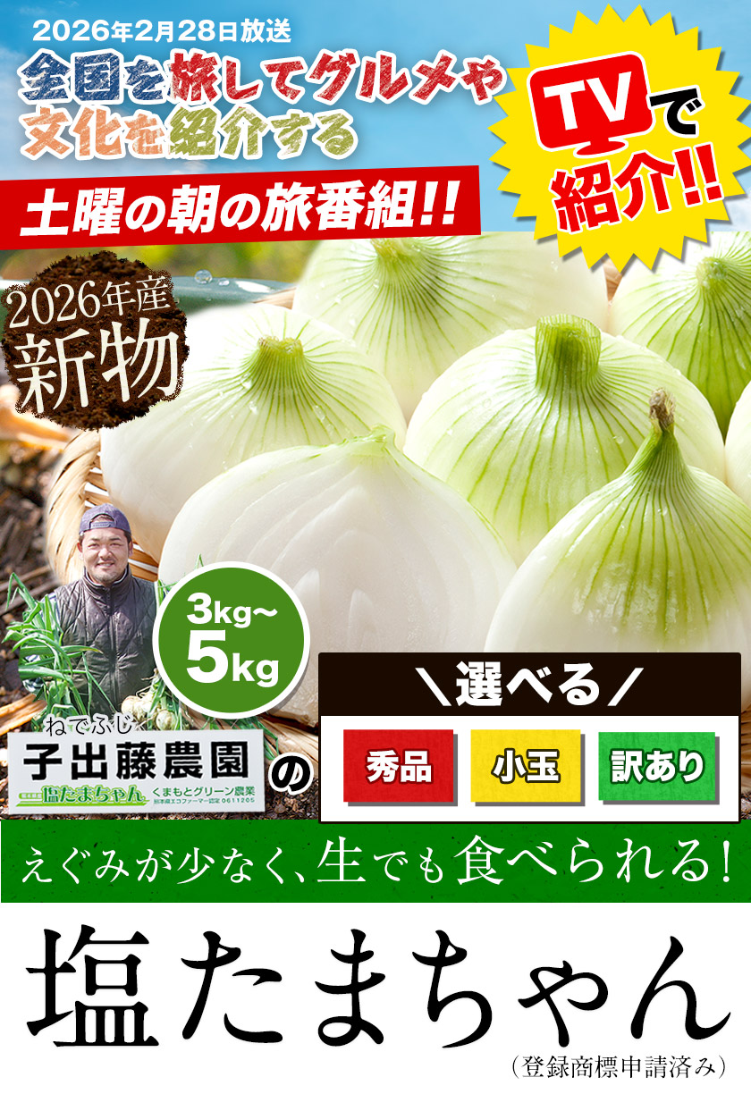 熊本県産 塩たまちゃん 玉ねぎ 選べる お届けサイズ 子出藤さん 送料