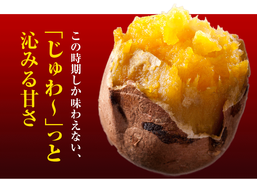 訳あり安納芋1kg1,000円