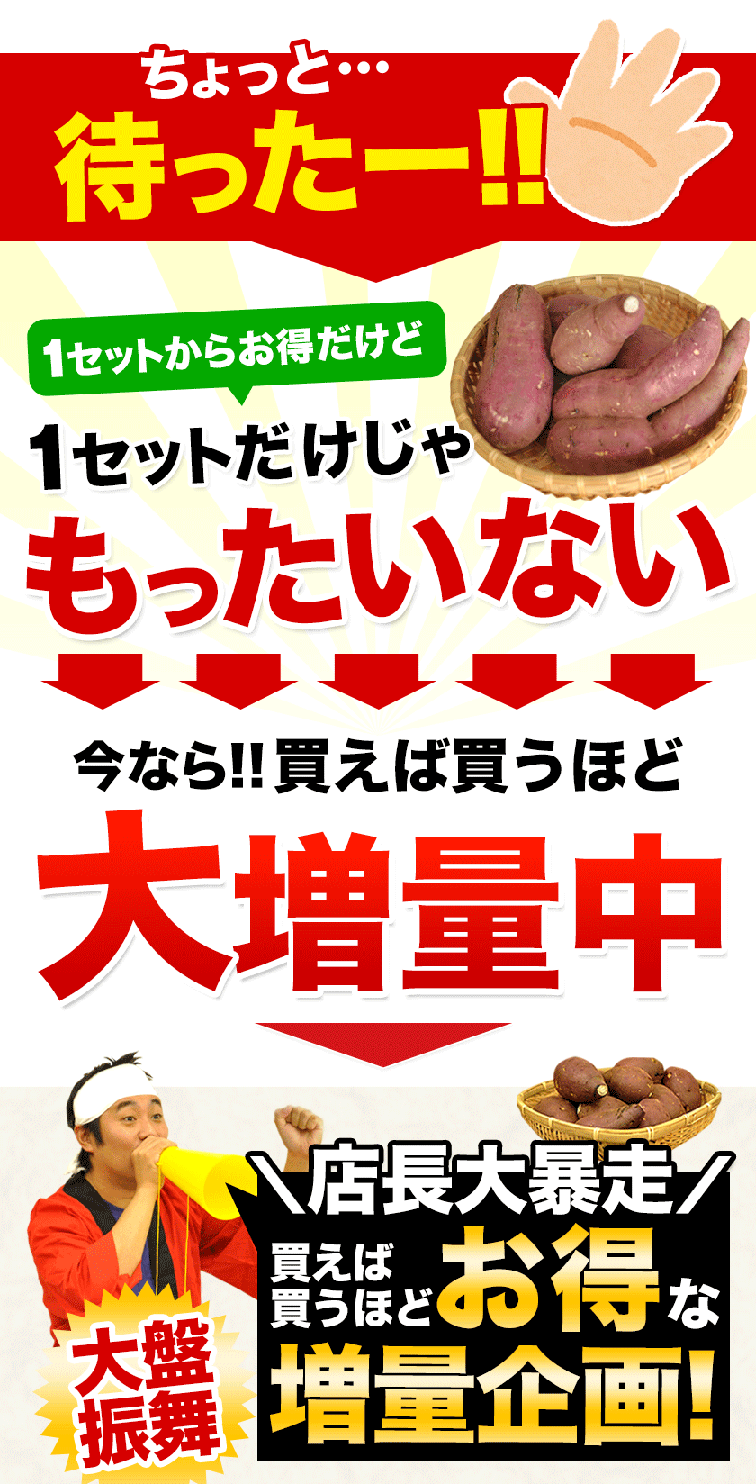 さつまいも 訳あり 安納芋 種子島産 1.5kg 長期熟成 焼き芋 サイズ