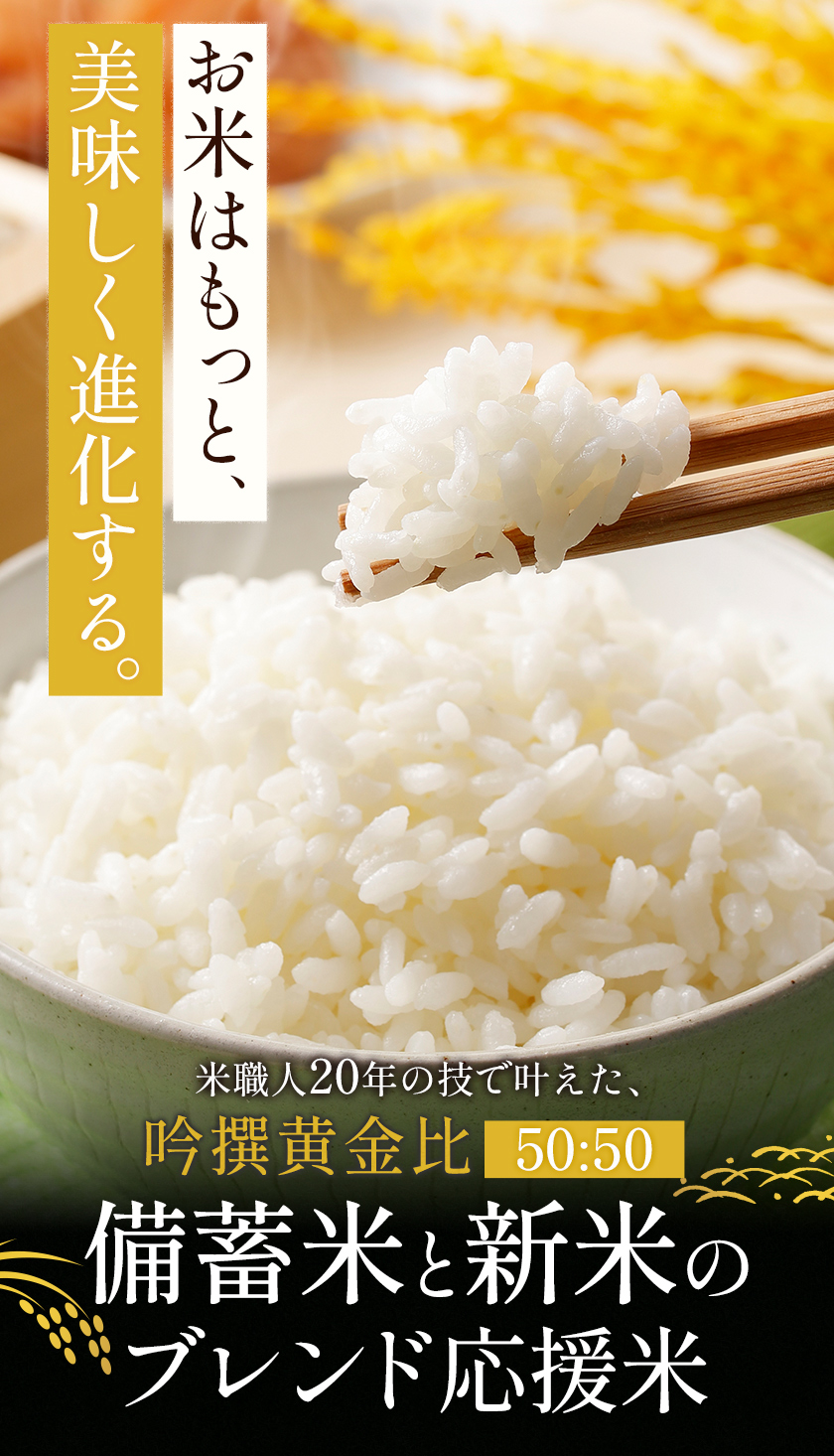 速攻出荷 備蓄米 新米 ブレンド 応援米 10kg 米5kg × 2袋 国内産 令和7
