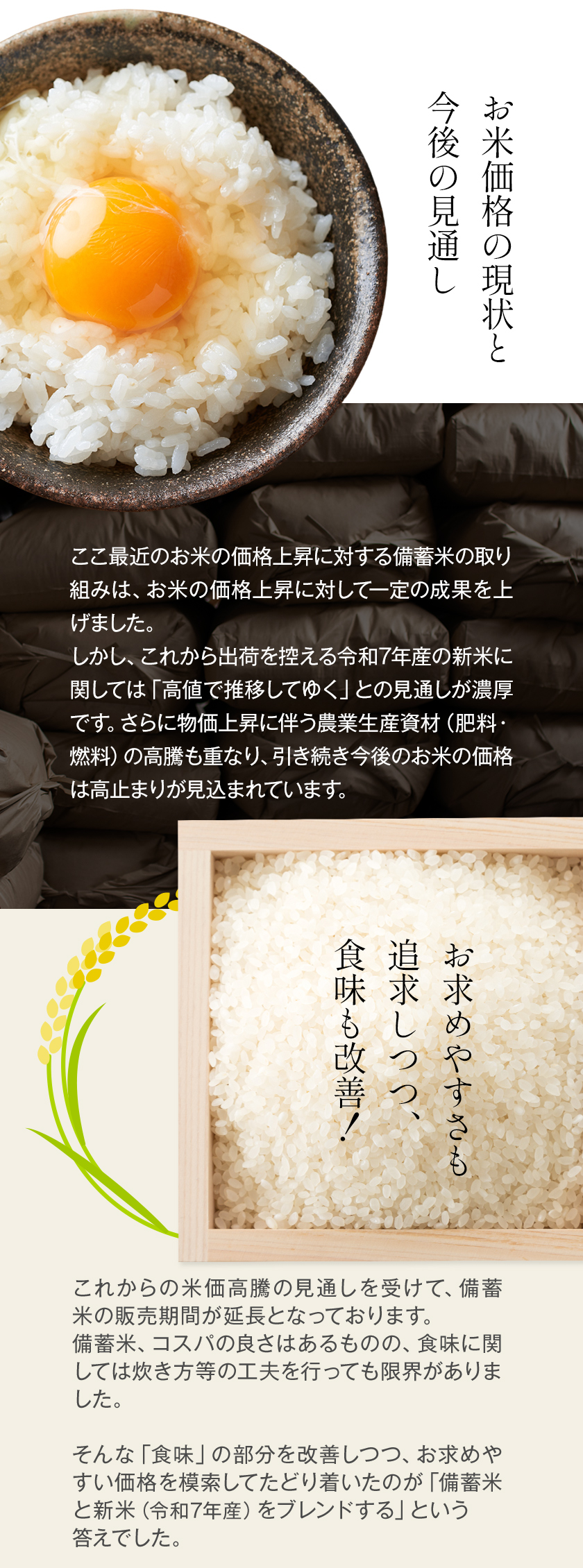 備蓄米 新米 ブレンド米 無洗米 10kg 米5kg × 2袋 国内産 令和7年産