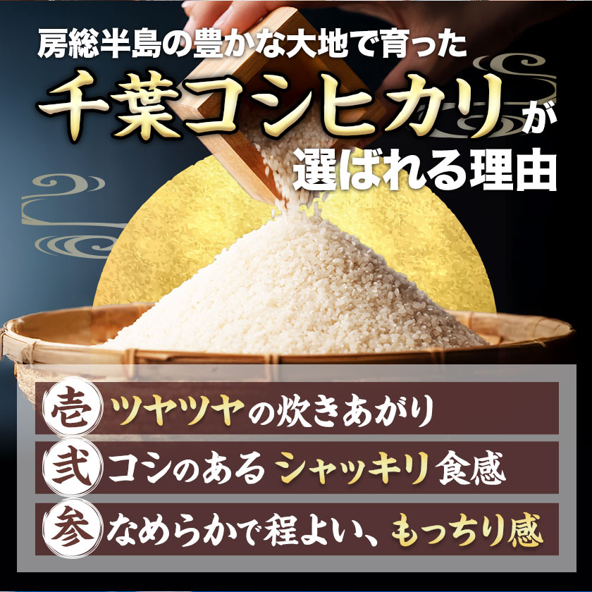 千葉県産コシヒカリ　令和6年産　10キロ 千葉県産コシヒカリ 令和6年産10kg（5kg×2） 無洗米 送料無料 コメ お