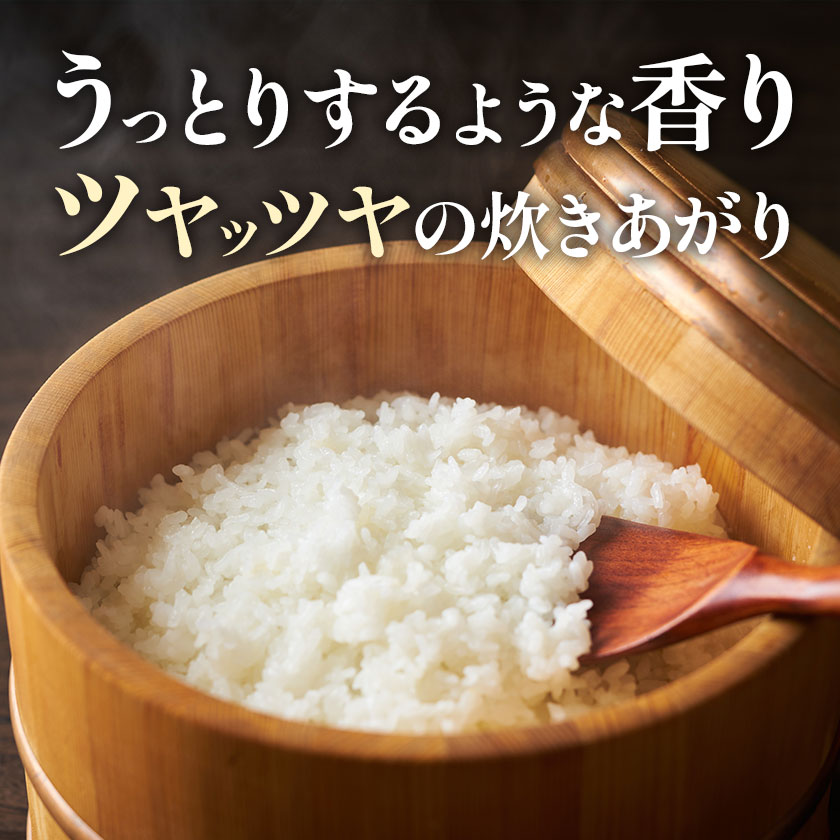 千葉県産コシヒカリ 令和6年産10kg（5kg×2） 白米 送料無料 コメ お米