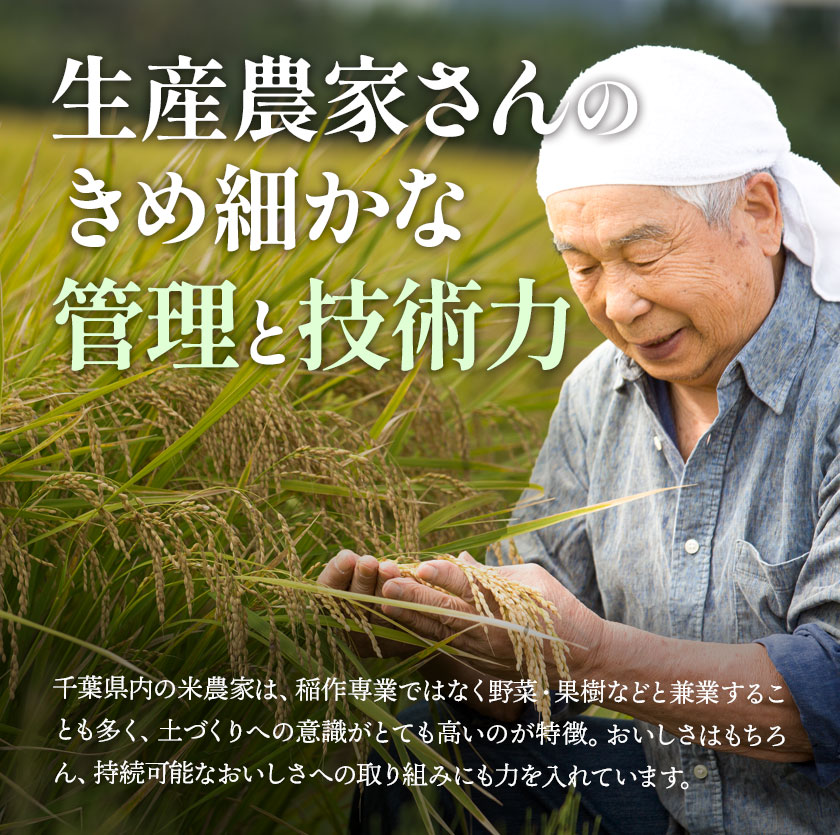 千葉県産コシヒカリ 令和6年産10kg（5kg×2） 白米 送料無料 コメ お米