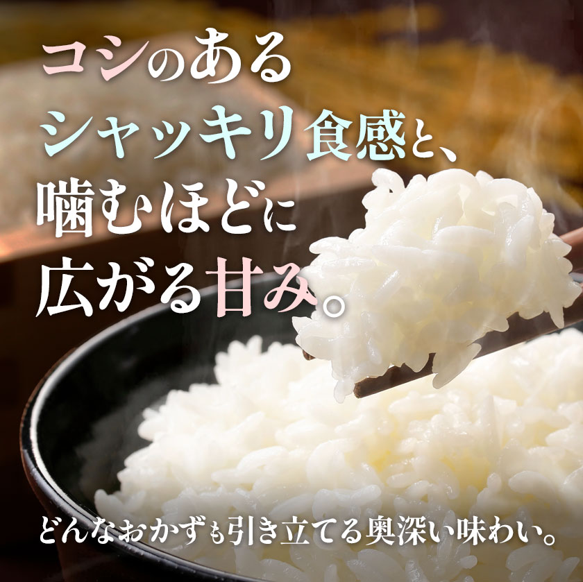 千葉県産コシヒカリ 令和6年産10kg（5kg×2） 白米 送料無料 コメ お米