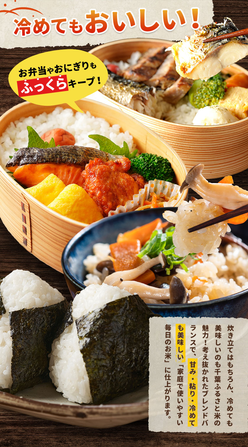 令和6年 新米 栃木県産コシヒカリ 20kg(10kg×2袋)☆白米】 【公式通販】