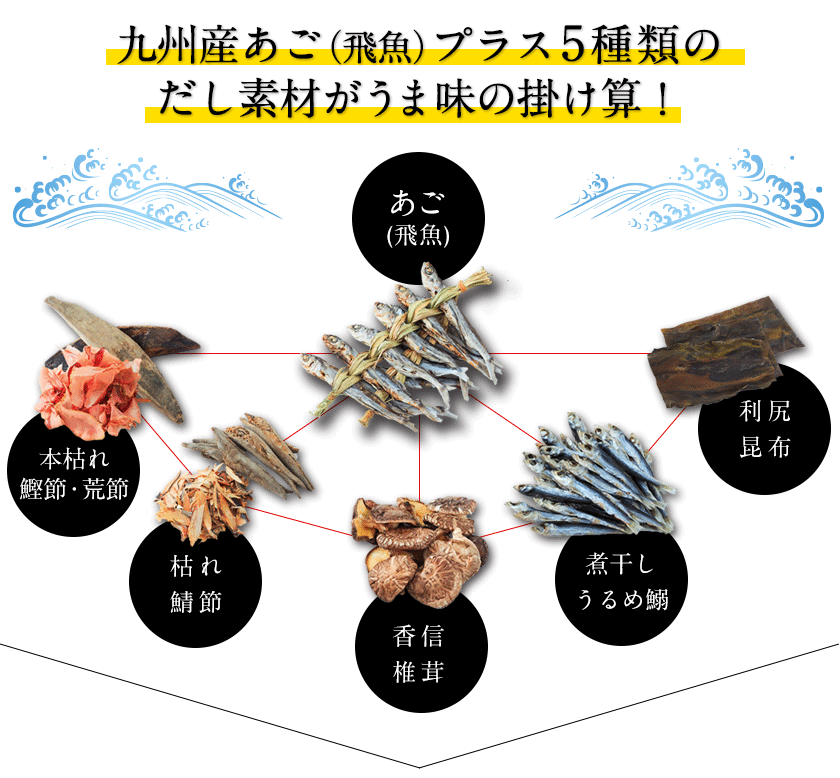 選べる2タイプ だし パック 出汁 五縁のあご入だし 減塩 だしパック 