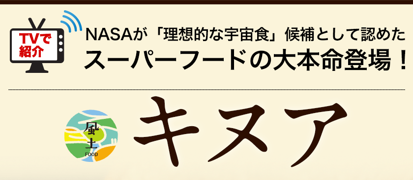 WEB限定 キヌア たっぷり 450g入り 送料無料 スーパーフード 本場ペルー ボリビア産 3-7営業日以内に出荷 土日祝除  dobrenocki.pl