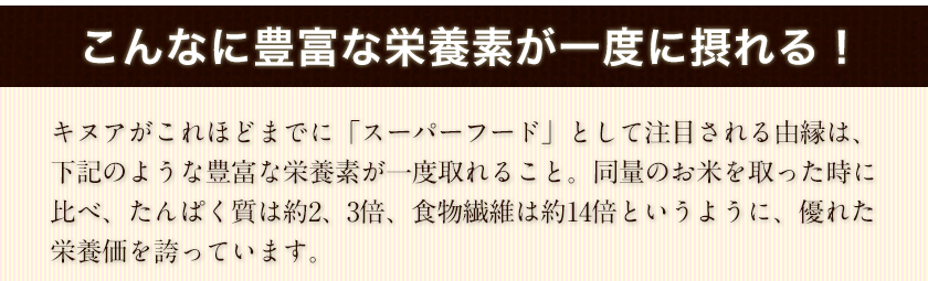 WEB限定 キヌア たっぷり 450g入り 送料無料 スーパーフード 本場ペルー ボリビア産 3-7営業日以内に出荷 土日祝除  dobrenocki.pl