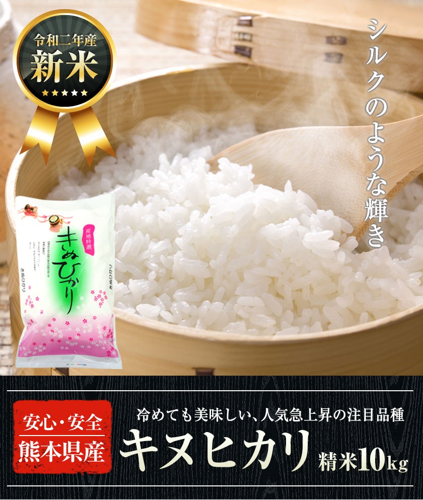 新米 令和2年 産【予約受付中】 キヌヒカリ 精米 白米 10kg 送料無料