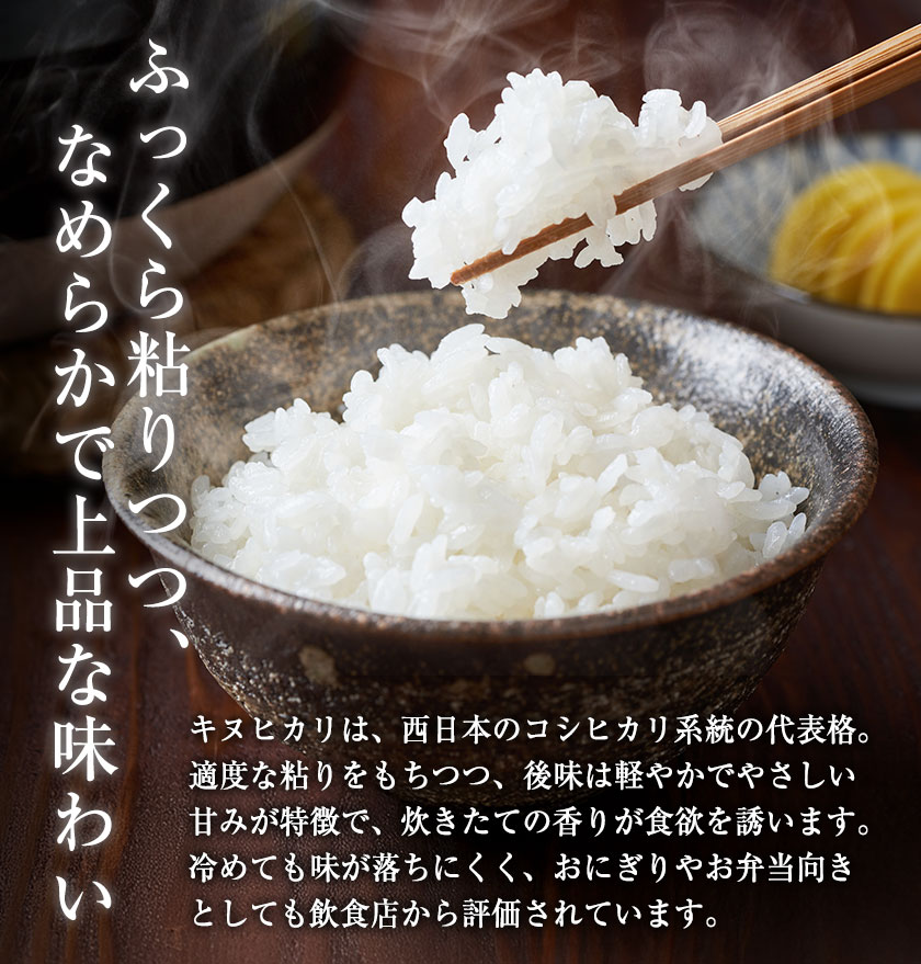 キヌヒカリ 米 10kg 令和7年産 精米 白米 お米 送料無料 単一原料米 単 