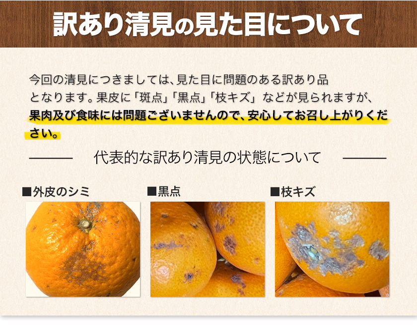 訳あり 清見 1.5kg 約6〜約20玉前後入 送料無料 熊本産 柑橘 旬 みかん