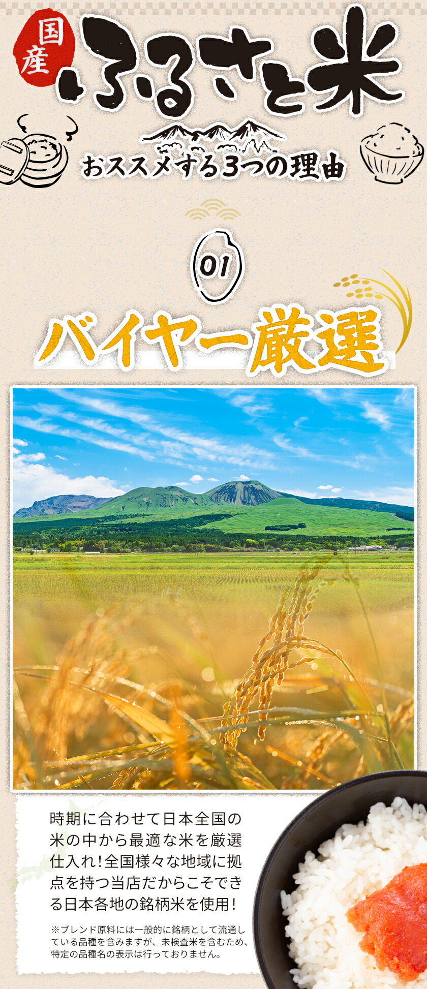 国産 ふるさと米 白米 5kg 送料無料 精米...の詳細画像2