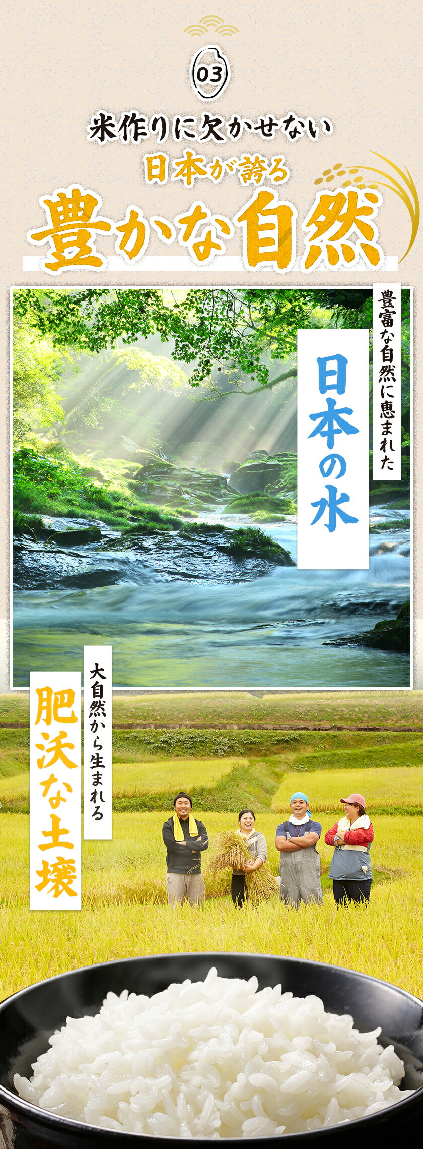 国産 ふるさと米 白米 5kg 送料無料 精米...の詳細画像4