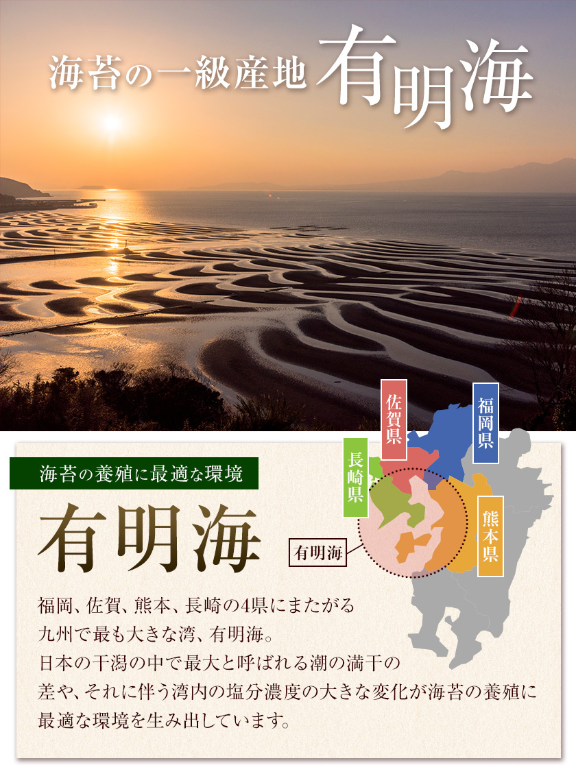 賞味期限2026年9月7日 有明海産 焼き海苔...の詳細画像5
