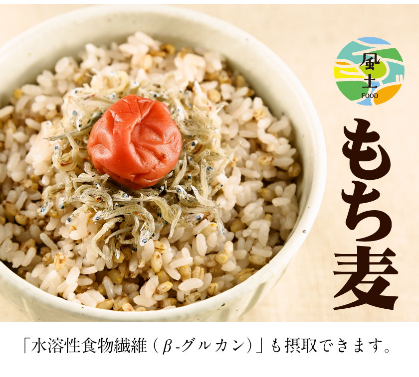 国産 もち麦 TVで話題 の 大麦 送料無料 ...の詳細画像1