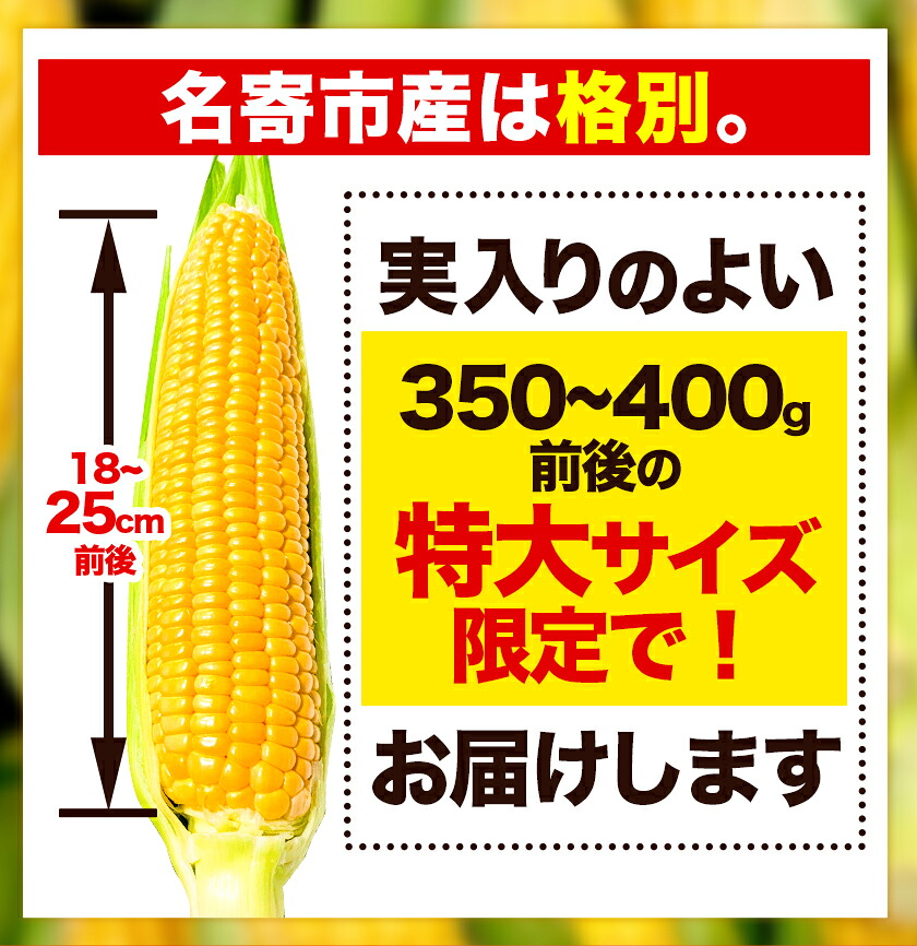 ゴールドラッシュ 名寄市 6本 朝採り フルーツコーン 送料無料
