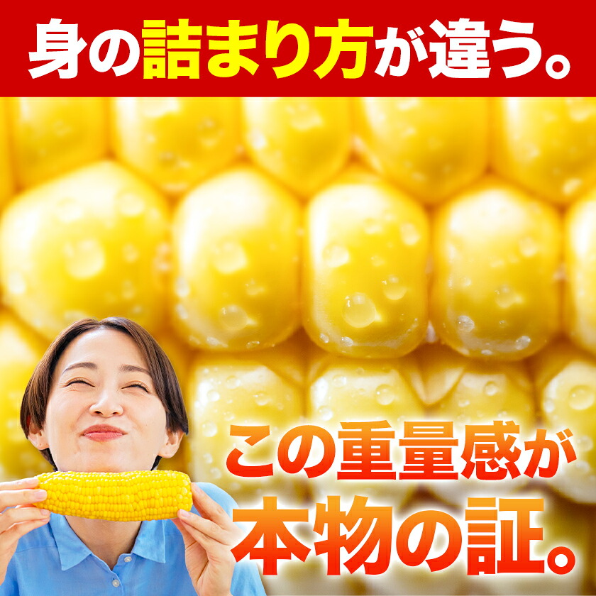 ゴールドラッシュ 名寄市 6本 朝採り フルーツコーン 送料無料