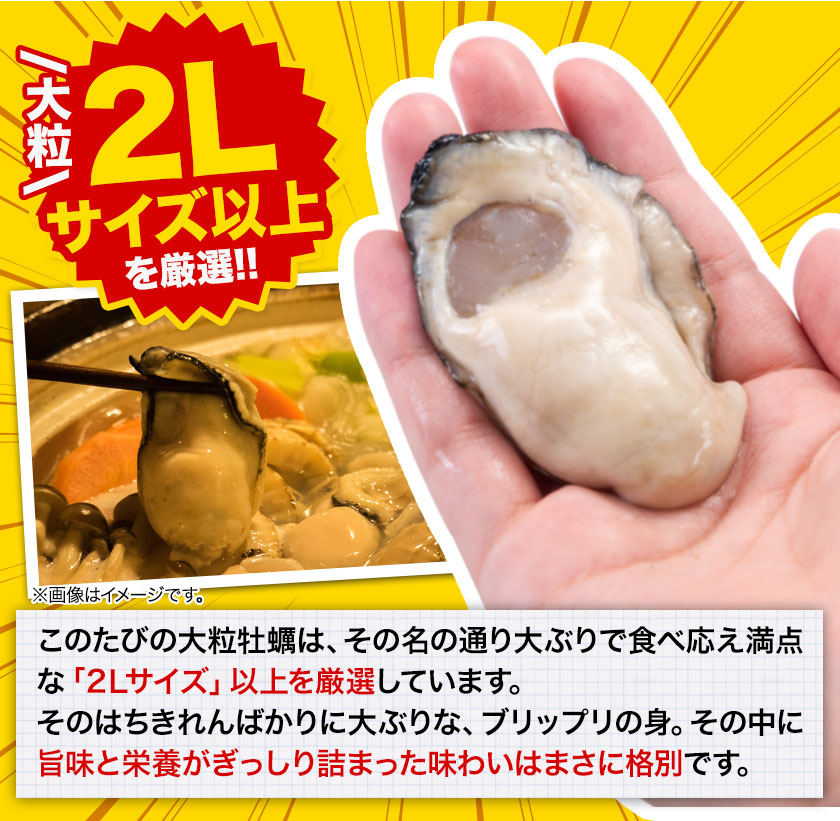 セール 広島産 大粒 牡蠣 2Lサイズ 1kg (解凍後850g) 大粒 送料無料 冷凍 牡蠣 海鮮 シーフード 1-5営業日以内に出荷予定（土日祝除く） |｜kumamotofood｜03