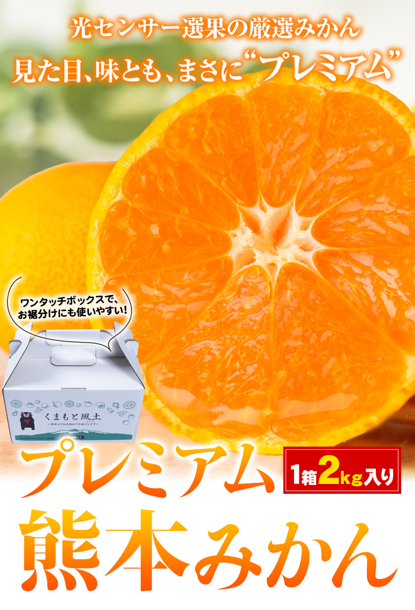 ご当地風土 ヤフー店 - みかん｜Yahoo!ショッピング