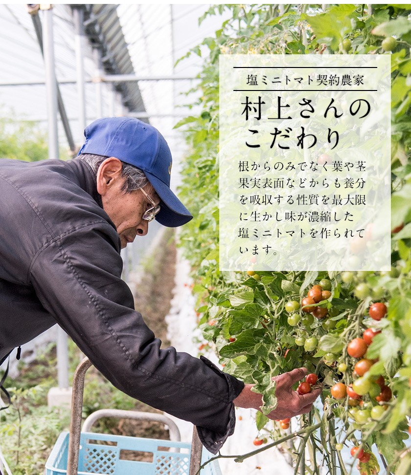 塩ミニトマト 約750g 約250g 3袋 送料無料 熊本県産 ミニ トマト プチ 産地直送 3箱購入で1箱おまけ クール便 7 14営業日以内に出荷予定 土日祝日除く Minishiotomato 1 くまもと風土 ヤフー店 通販 Yahoo ショッピング 塩ミニトマト 約750g 約250g 3袋 送料無料 熊本県産 ミニ トマト プチ 産地直送 3箱購入で1箱おまけ クール便 7 14営業日以内に出荷予定 土日祝日除く Minishiotomato 1 くまもと風土 ヤフー店 通販 Yahoo ショッピング