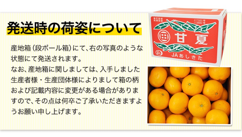 秀品 甘夏 みかん 約5kg / 3L～Sサイズ 送料無料 柑橘 の 名産地 熊本