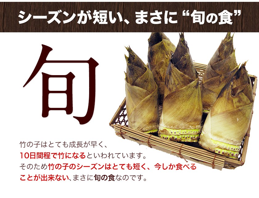 熊本県産 朝掘り たけのこ 1kg 送料無料 《4月中旬～4月末頃より発送