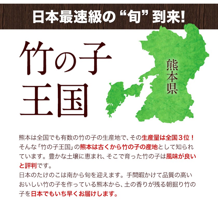 熊本県産 朝掘り たけのこ 1kg 送料無料 《4月中旬～4月末頃より発送