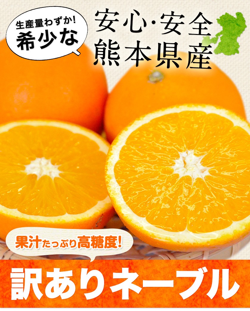 ネーブル オレンジ 送料無料 1.5kg 訳あり 国産 熊本県産 旬 みかん