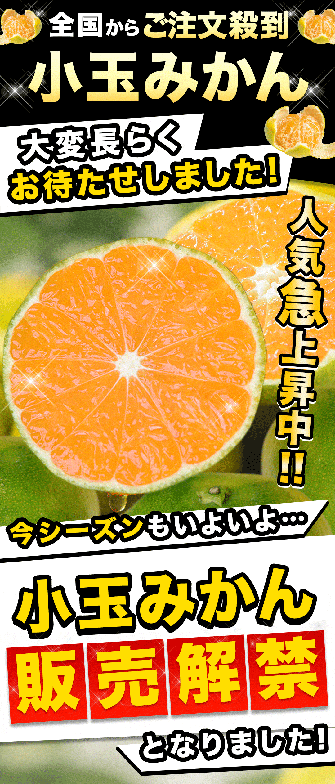 こだまみかんです みかん 訳あり 小玉 小玉みかん 小粒 1.5kg 熊本県産 家庭用