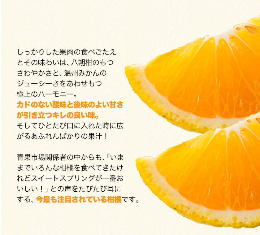 スイートスプリング 1.5kg 訳あり 熊本県産 送料無料 旬 の みかん (3L