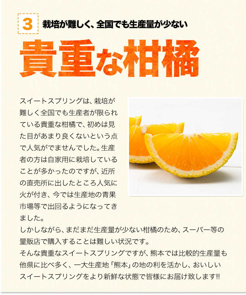 スイートスプリング 1.5kg 訳あり 熊本県産 送料無料 旬 の みかん (3L