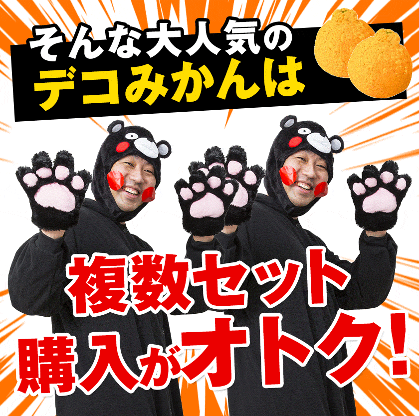 訳あり デコみかん デコポン と同品種 クール便 送料無料 家庭用