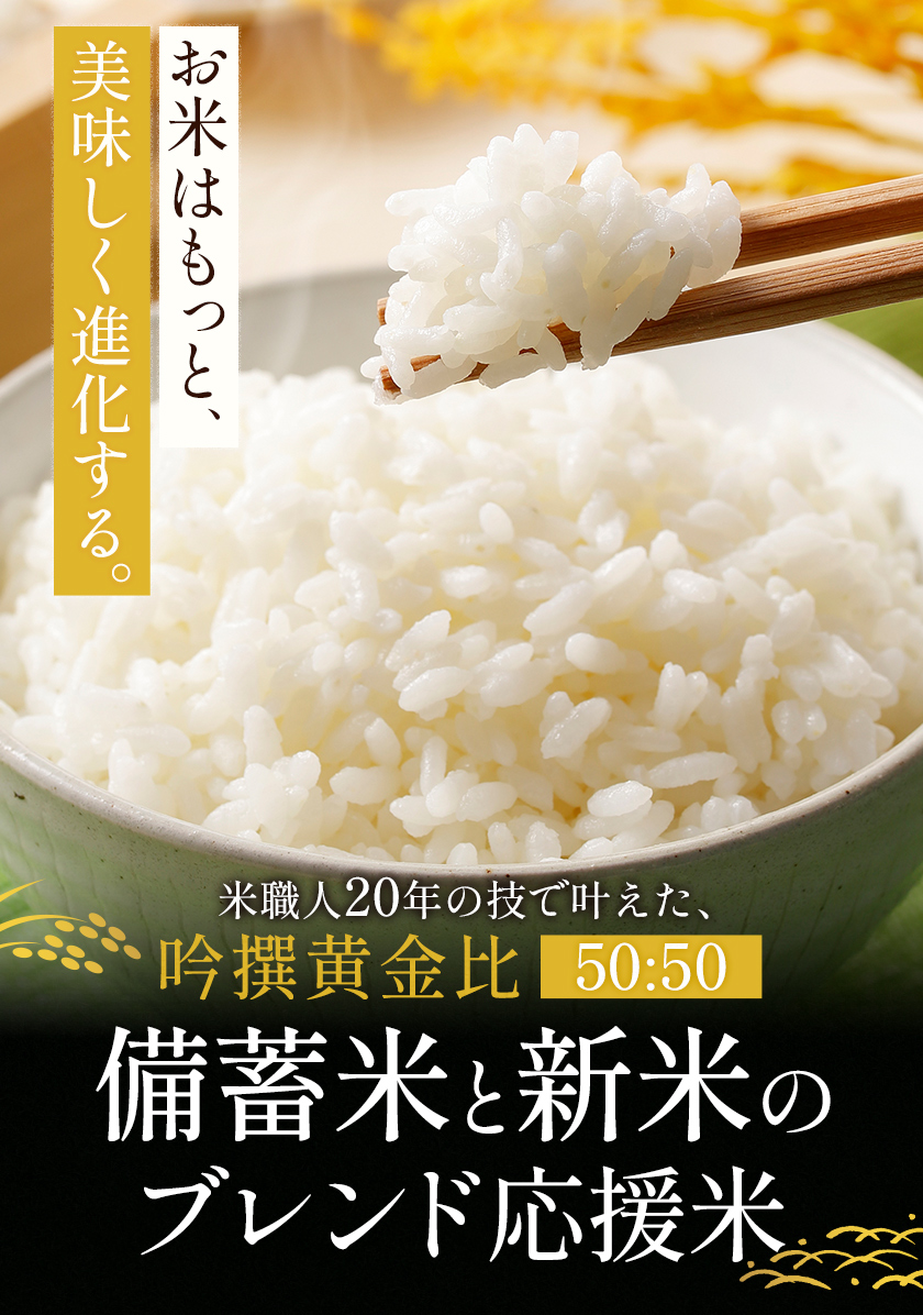 速攻出荷 備蓄米 新米 ブレンド 応援米 10kg 米5kg × 2袋 国内産 令和7