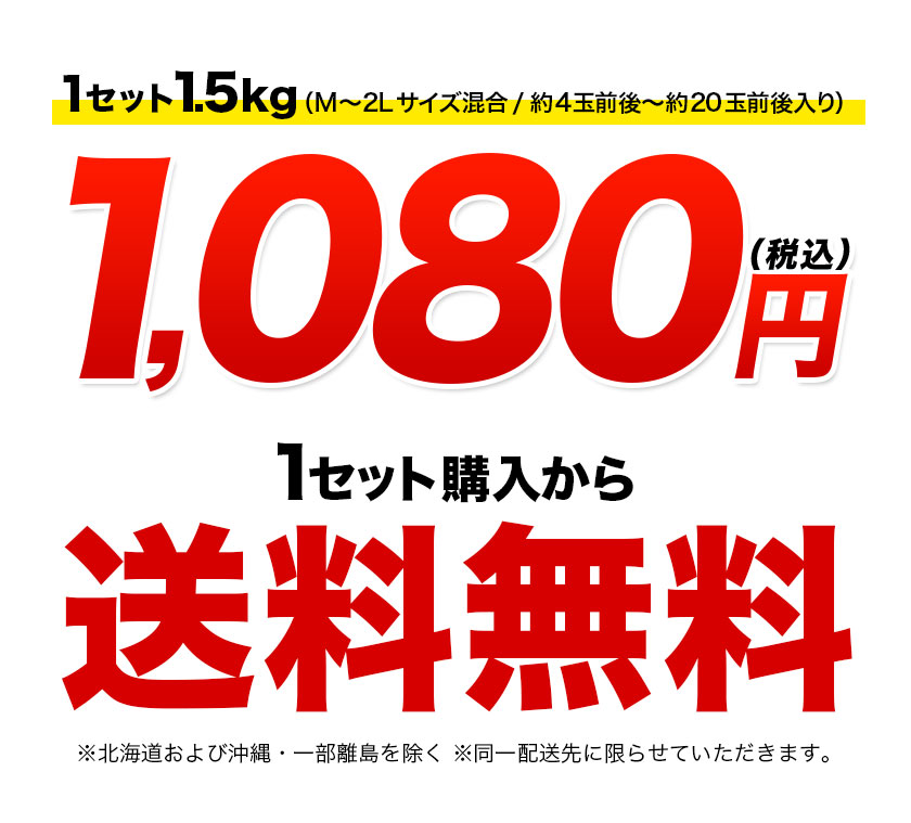 マルチコーン #20 GAViC ガビック サッカーフットサル用品gc12161,980円