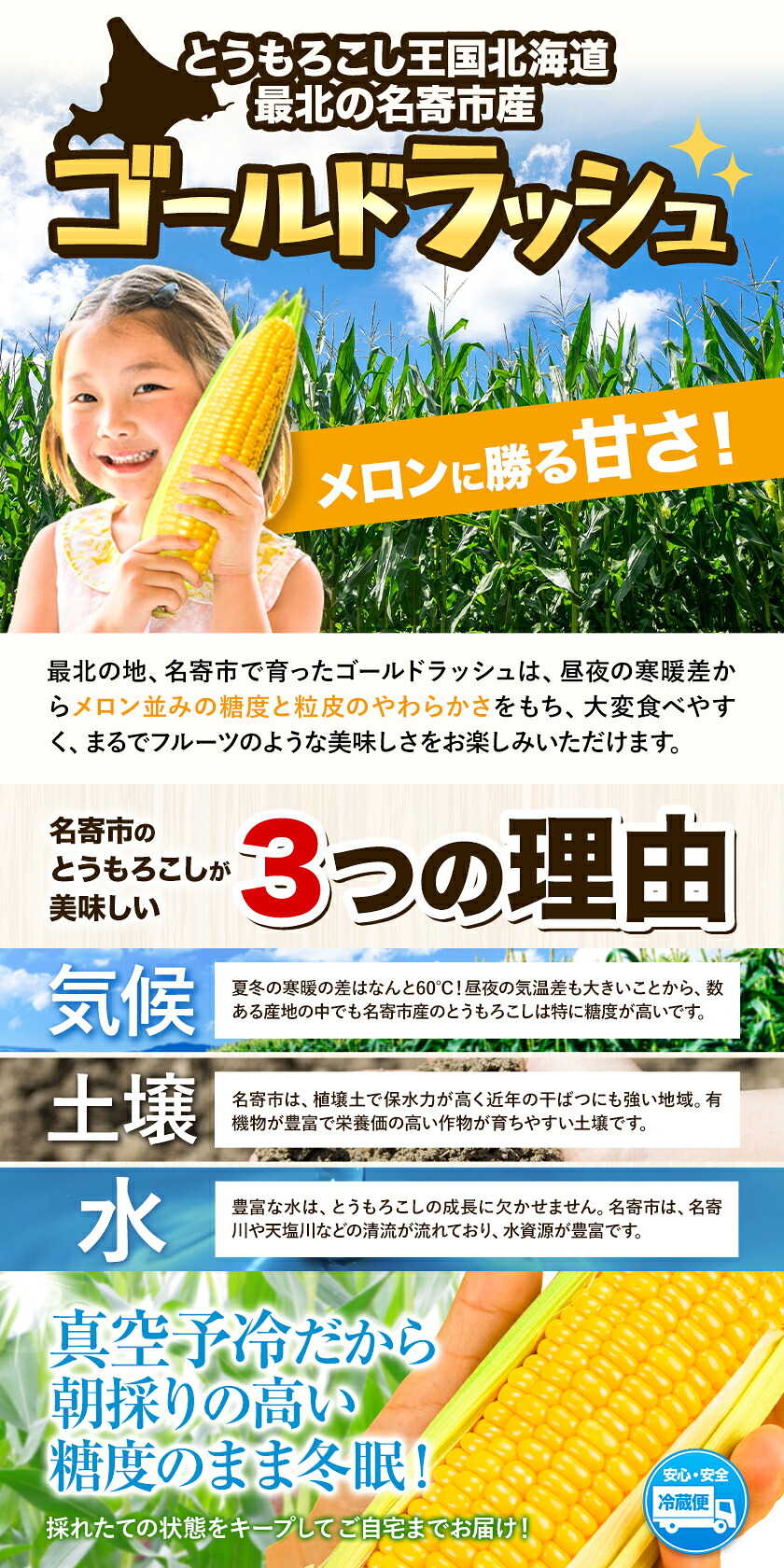 ゴールドラッシュ 名寄市 6本 朝採り フルーツコーン 送料無料
