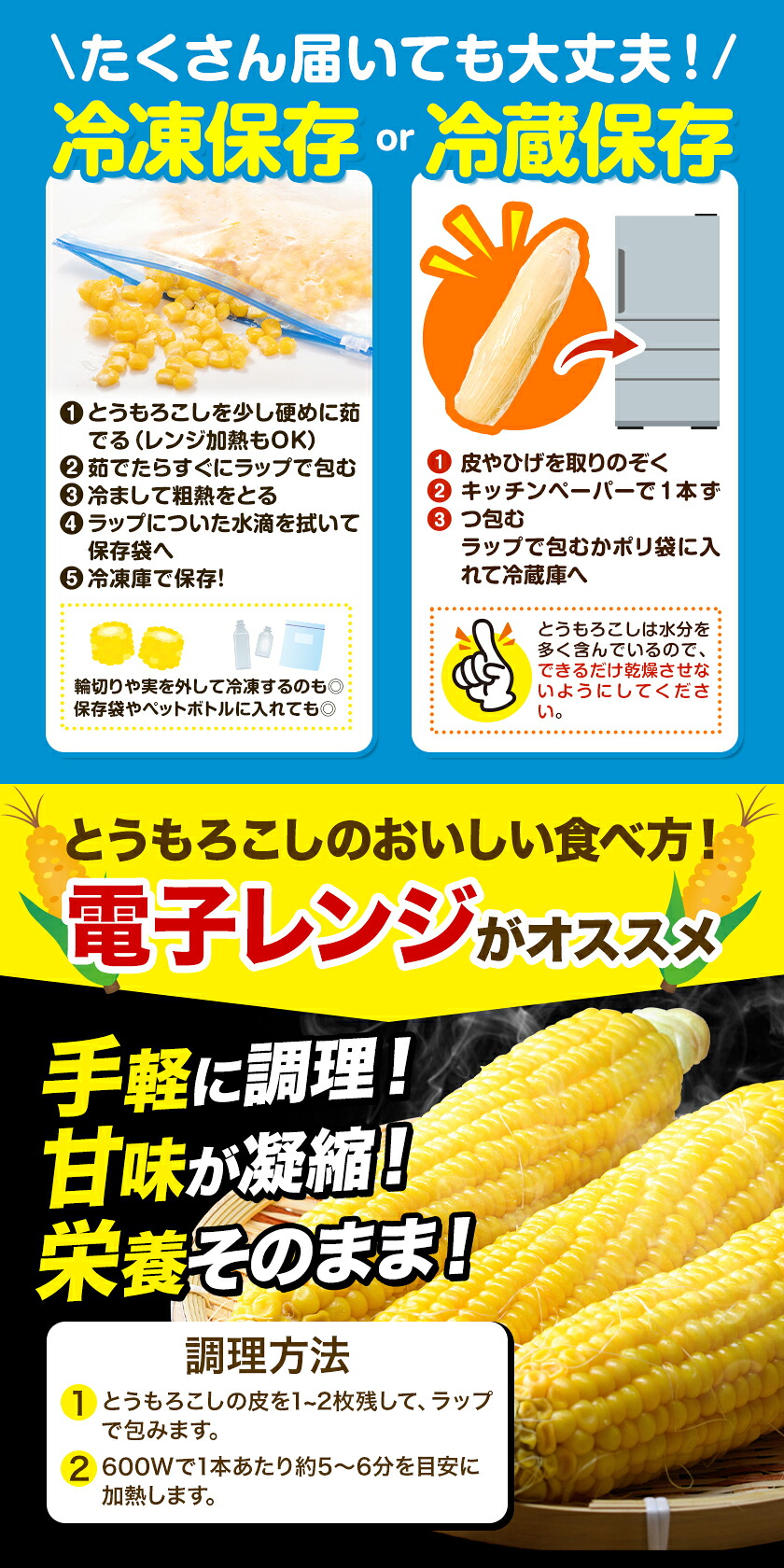 ゴールドラッシュ 名寄市 6本 朝採り フルーツコーン 送料無料