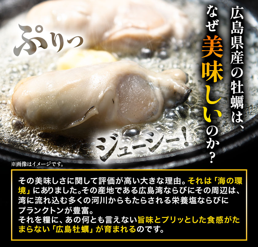 クーポンで10%OFF 広島産 大粒 牡蠣 2Lサイズ 1kg (解凍後850g) 大粒 送料無料 冷凍 牡蠣 海鮮 シーフード 1-5営業日以内に出荷予定（土日祝除く） |｜kumamotofood｜07