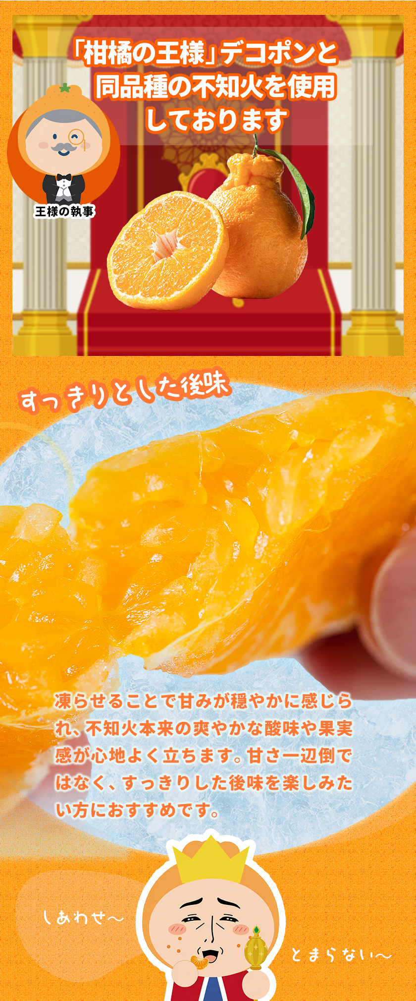 新発売☆早割500円OFF 冷凍 デコみかん みかんさま 皮むき 送料無料
