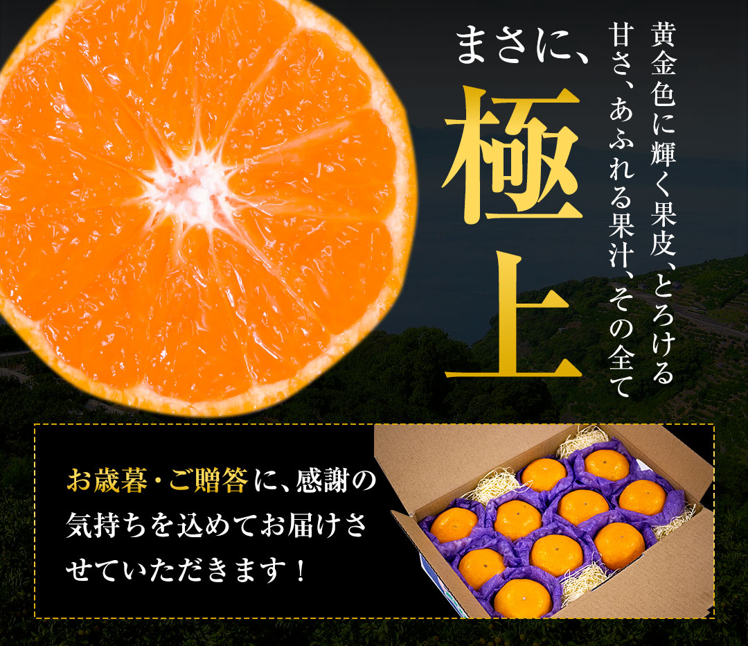 夢の恵 みかん 2.5kg前後(20玉〜30玉前後) 糖度12度以上 ブランド みかん ブランド 贈答用 糖度 12度 以上 熨斗 12月上旬-12月中旬頃発送予定  : yumegumi01 : ご当地風土 ヤフー店 - 通販 - Yahoo!ショッピング