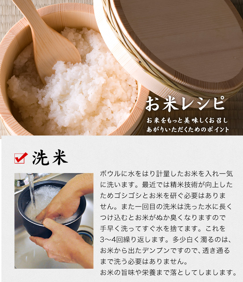 キヌヒカリ 米 10kg 令和7年産 精米 白米 お米 送料無料 単一原料米 単 